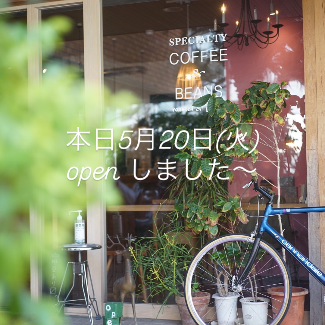 本日5月20日(火)、open してます