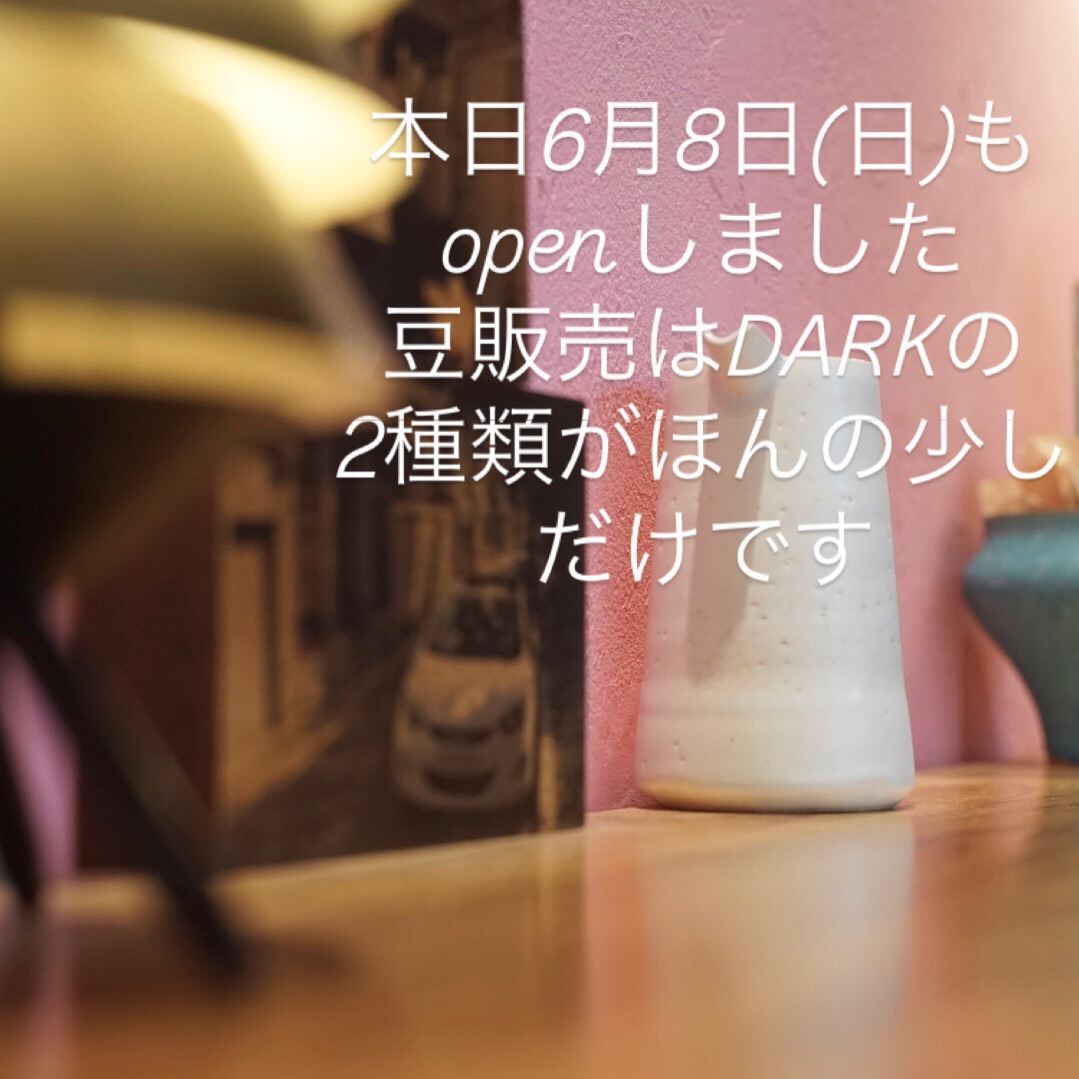 本日6月8日(日)もopenしました