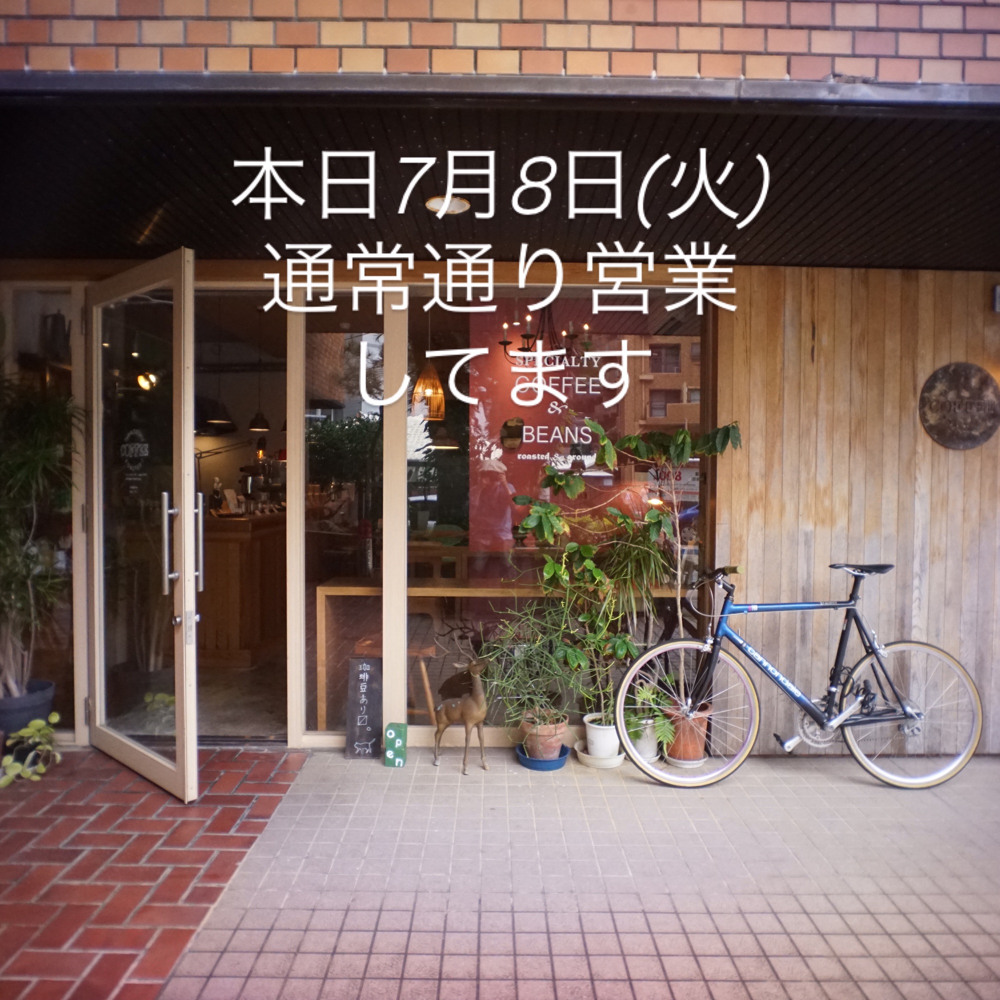 本日7月8日(火)通常通り営業予定です。