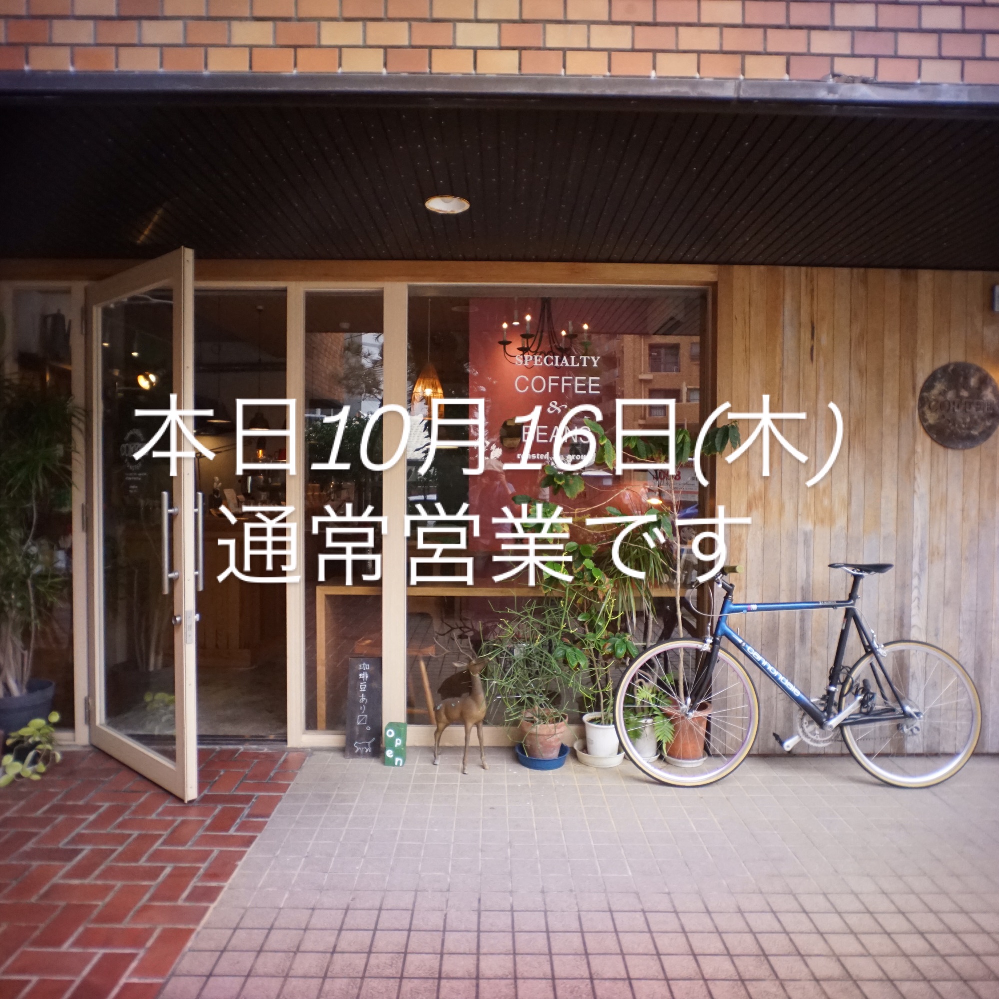 本日10月16日(木)通常営業です。